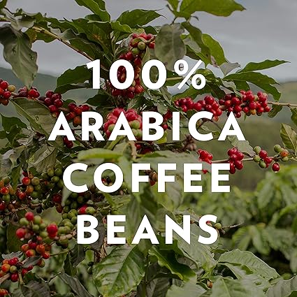 Community Coffee Coffee & Chicory Blend 160 Ounce, Medium Dark Roast Ground Coffee, 16 Ounce Bag (Pack of 10)